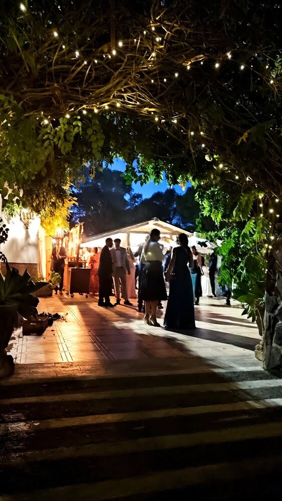 Bodas y Eventos 1 salon01